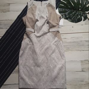 Calvin Klein| Sheath Dress Jacquard Cream Beige 8